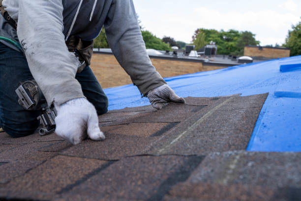 Best Roof Waterproofing Services  in South Connellsville, PA