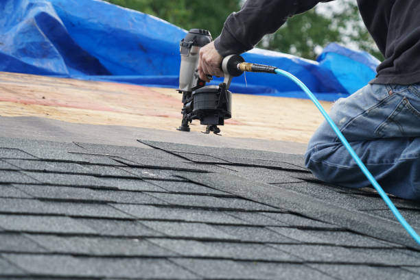 Best Roof Gutter Cleaning  in South Connellsville, PA